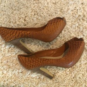 Brown snake heel